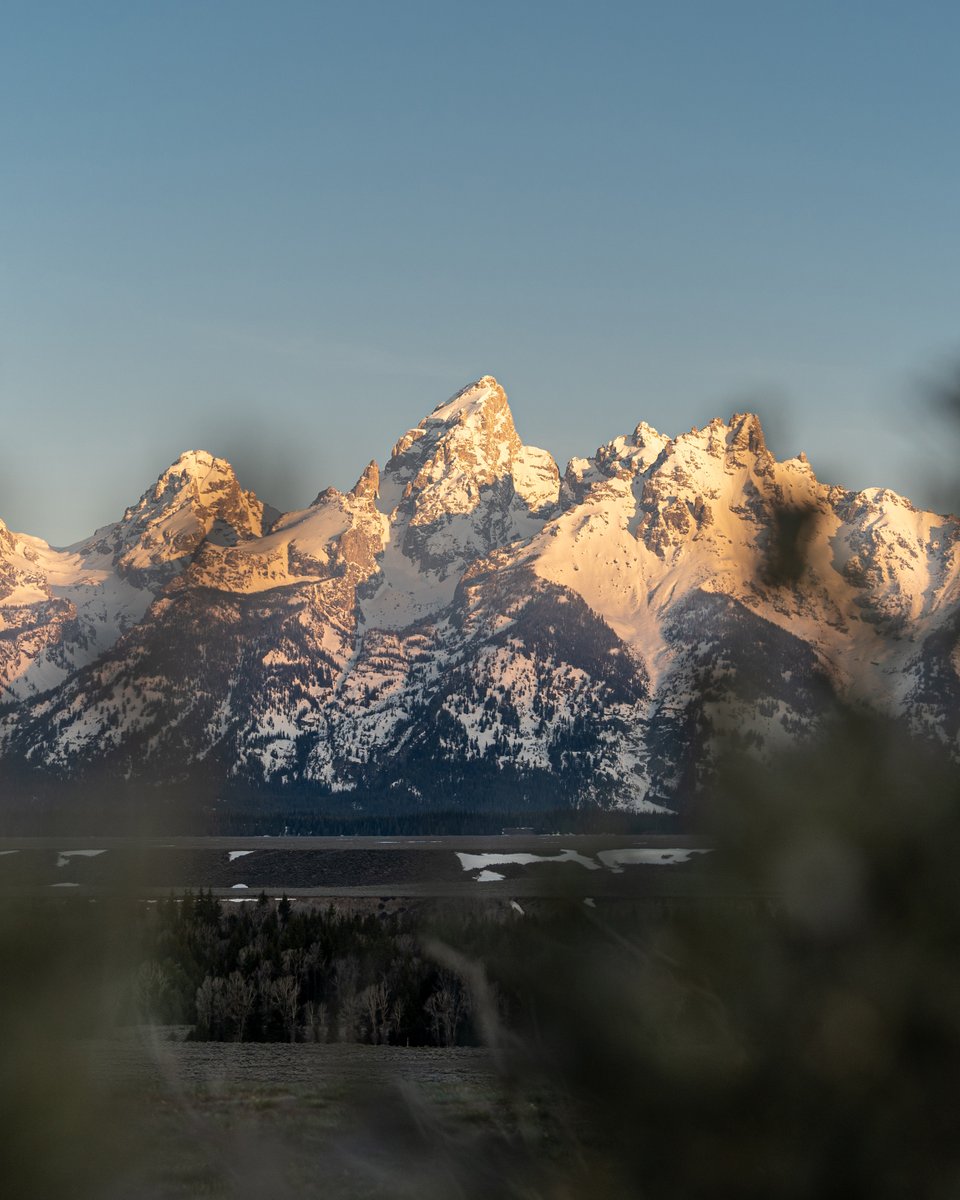 Early morning rewards, just add ☕.
📸 taken yesterday in <a href="/grandtetonnps/">Grand Teton National Park</a>.
#jacksonhole #jhdreaming