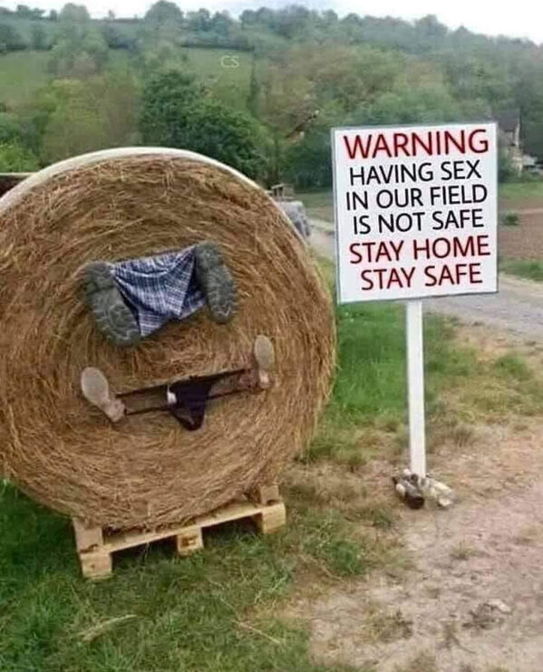 thatwasstupid's tweet photo. Guess this means no more rolling in the hay. 
#FridayFeeling #weekend #funny #farming #sex #lol #laugh https://t.co/9kVzlQ2APh