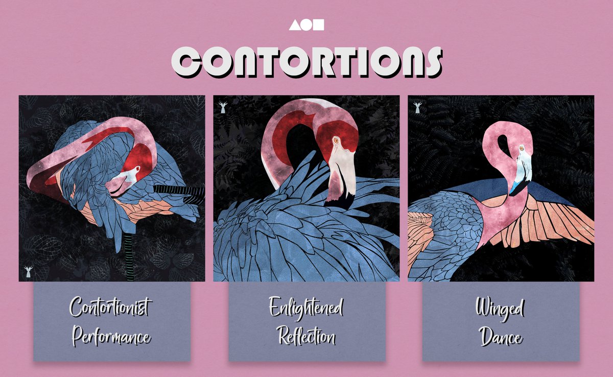 CherineeWong's tweet image. The Contortions complete collection is now fully minted on @foundation ! 

I went out of my comfort zone and experimented with different formations. Hopefully you guys enjoy it.

foundation.app/collection/con…

#NFTCommunity #nftart #NFT #nftcollector