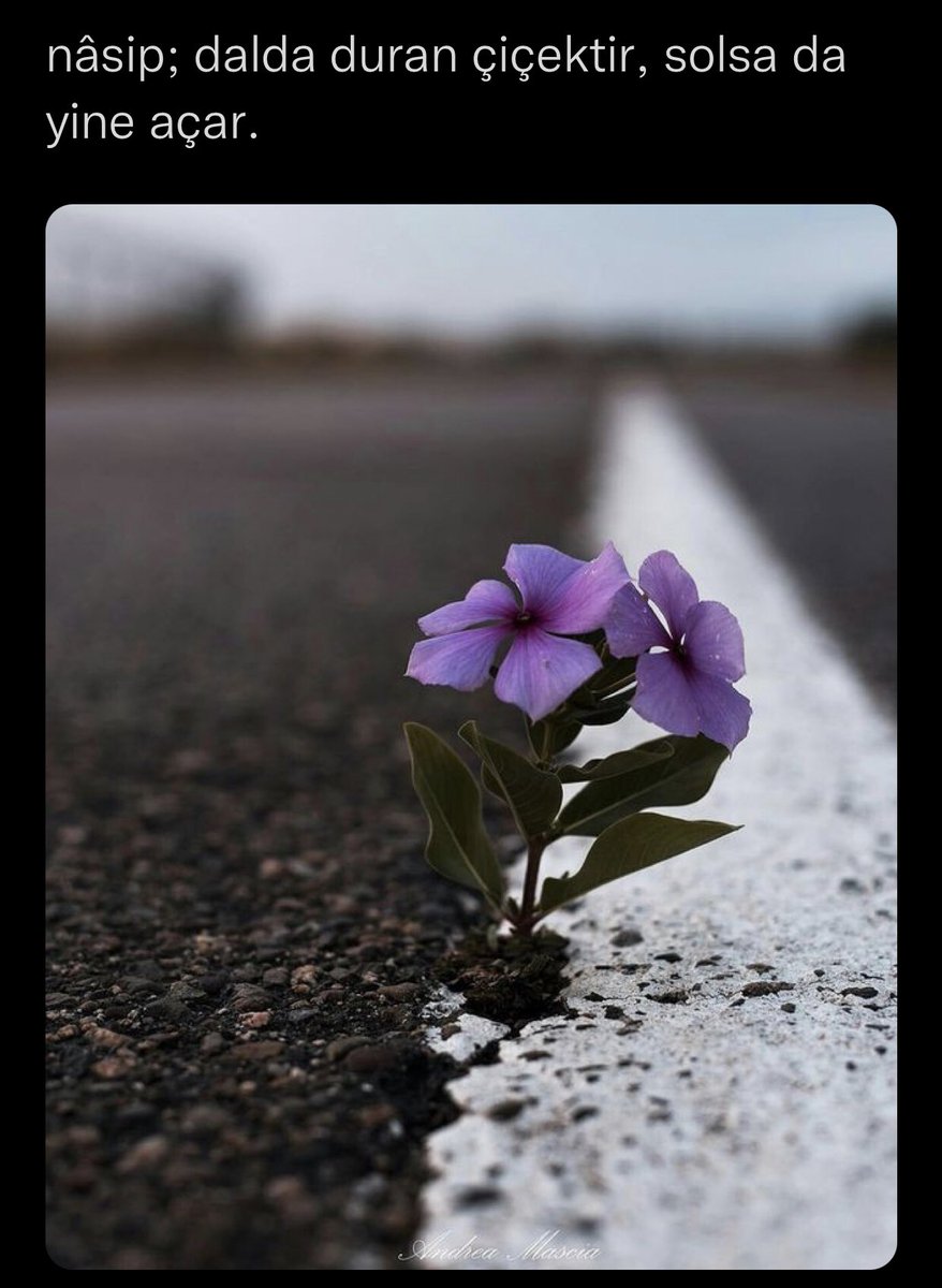 Ercan KARACAN (@ercnkrcn) on Twitter photo 