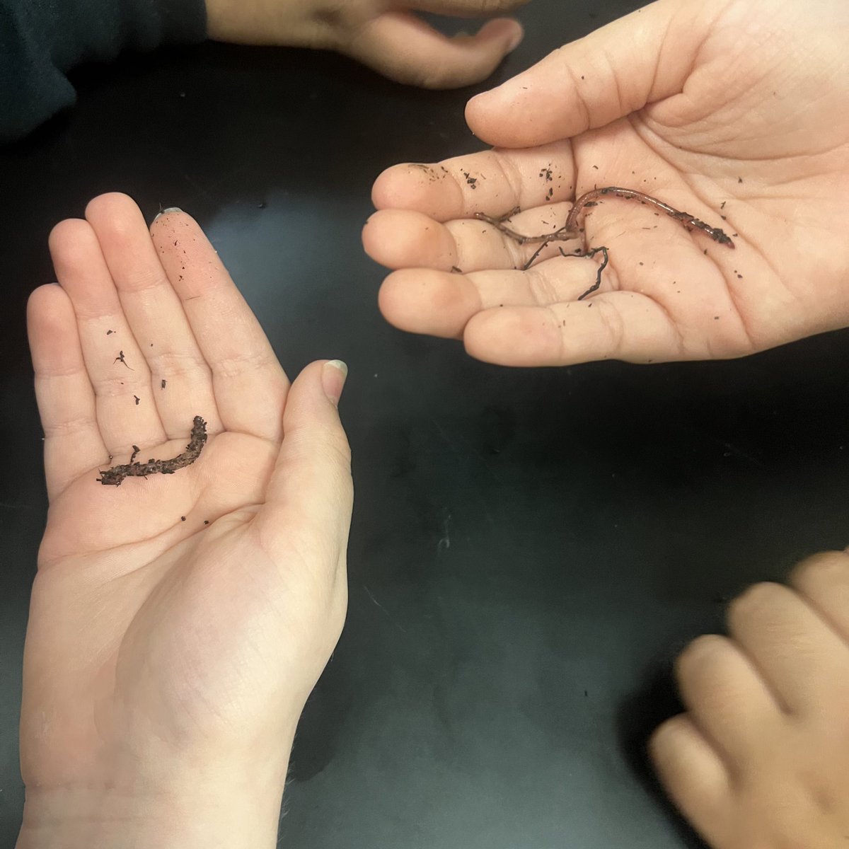 STEM Day Success! Thanks <a href="/rocker_ccsd/">Mrs. Meredith Rocker</a> for helping set up such a fun filled day! <a href="/ClarkCreekSTEM/">Joey Moss</a> <a href="/Brittony_Monroe/">Mrs. Monroe's Class</a>