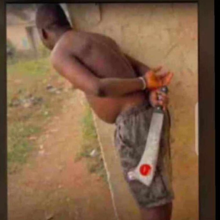 JosephOlajuwon7's tweet photo. I just dey wait for who go call me boss or chairman 😡😡

Lo wo tawa yi mo mini buisness https://t.co/1vBwBr0YSI
