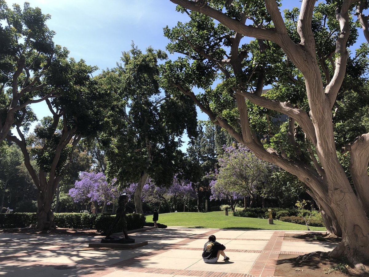futuryst's tweet photo. Super enjoyable to speak and lead some hands-on exploring today at @UCLA, on bringing futures + design + research together — thanks to students, host Peter Lunenfeld &amp; my wonderful fellow presenter @anneburdick! ☀️🐻#DesignFutures #FutureThing https://t.co/n59Qrrsr1u