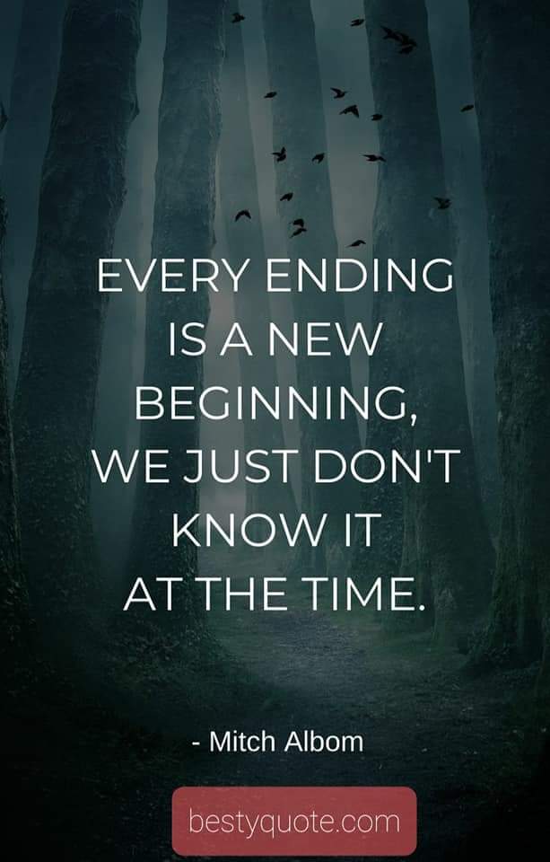 QuoteBesty's tweet photo. • • • • • #lifequotes #motivationalquotes #quotestoliveby #quotestagram #inspirationalquotes #lovequotes #quoteoftheday #dailyquotes #instaquote #successquotes #quotestags #lifelessons #instaquotes #quotes #positivequotes #quotesofinstagram #wordsofwisdom #relationshipquotes https://t.co/j7WIBkXvtW