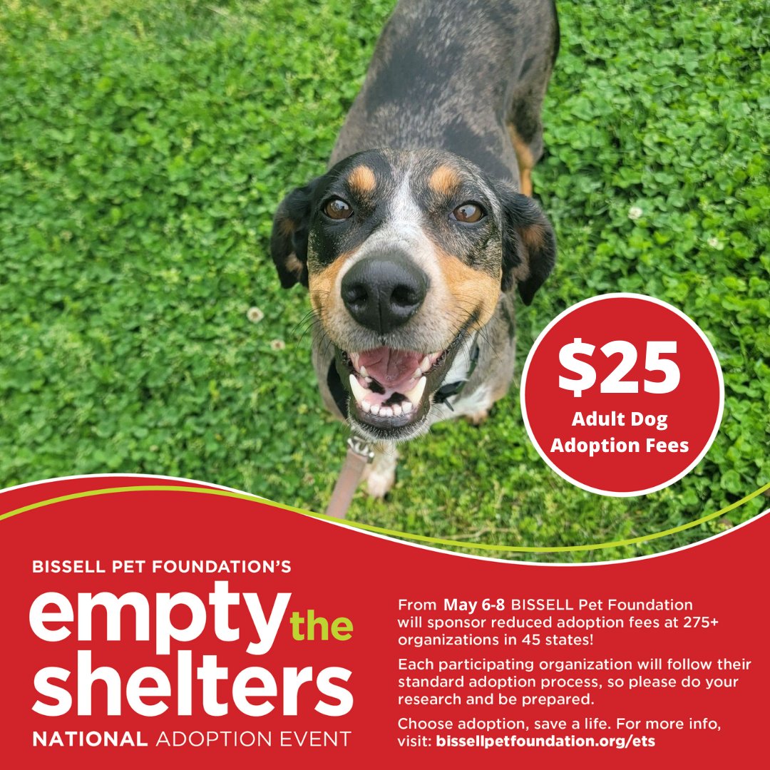 Newbie alert! Bunny is a 4-year-old hound mix who was found as a stray and is now looking for a new home! She is a beautiful girl on the inside and out and would love to meet you today during our #EmptytheShelter adoption special! Come by at 12pm to meet her and her friends!