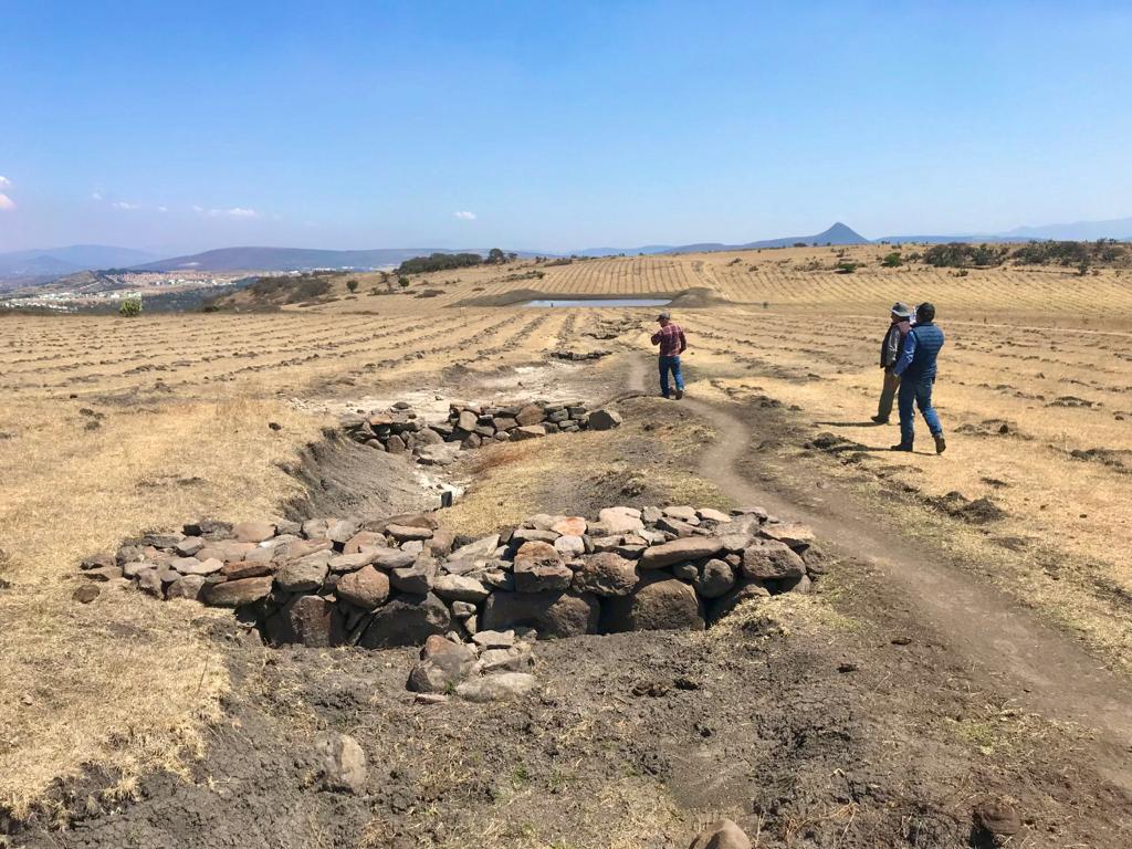AmbienteEdomex's tweet photo. La #CGCE de la #SMAGEM, @Naturalia_AC y  @TNCLatinAmerica, realizan la supervisión del proyecto de “Conservación y Restauración Ambiental de 190 hectáreas en la #SierraDeTepotzotlán”, donde se trabaja: la restauración del suelo, protección de la flora y la fauna entre otras. https://t.co/x1exg58FE9
