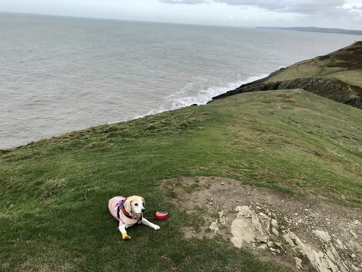 #RememberingRaffaDailyFoto
#LiveLikeRaffa ❤️
#LifeIsGood ❤️
#LiveLife ❤️