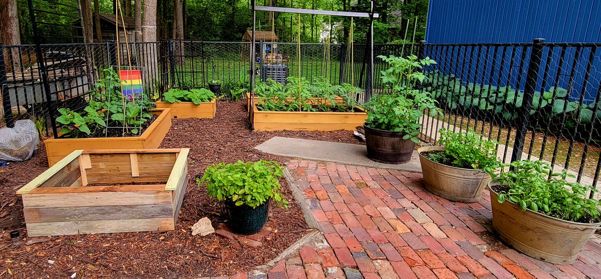 NoShirtFlipFlop's tweet photo. Company that neighbor hired to put up new privacy fence discarded some old cedar planks behind my house. I needed one more raised bed for watermelons so I repurposed their litter. Just need to stain and plant. ππ
#DoingDadStuff https://t.co/MRzPiLBBCe