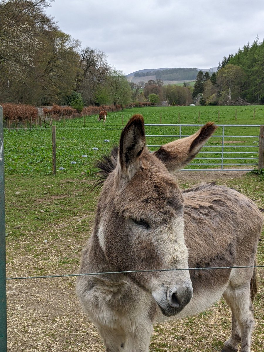 Dora Rogkoti (@drogkoti) on Twitter photo Had an amazing few days at the #burnretreat with the <a href="/CDTLifETIME/">LifETIME-CDT</a>! Really enjoyed the training and the location 🌿 Had an amazing few days at the #burnretreat with the <a href="/CDTLifETIME/">LifETIME-CDT</a>! Really enjoyed the training and the location 🌿