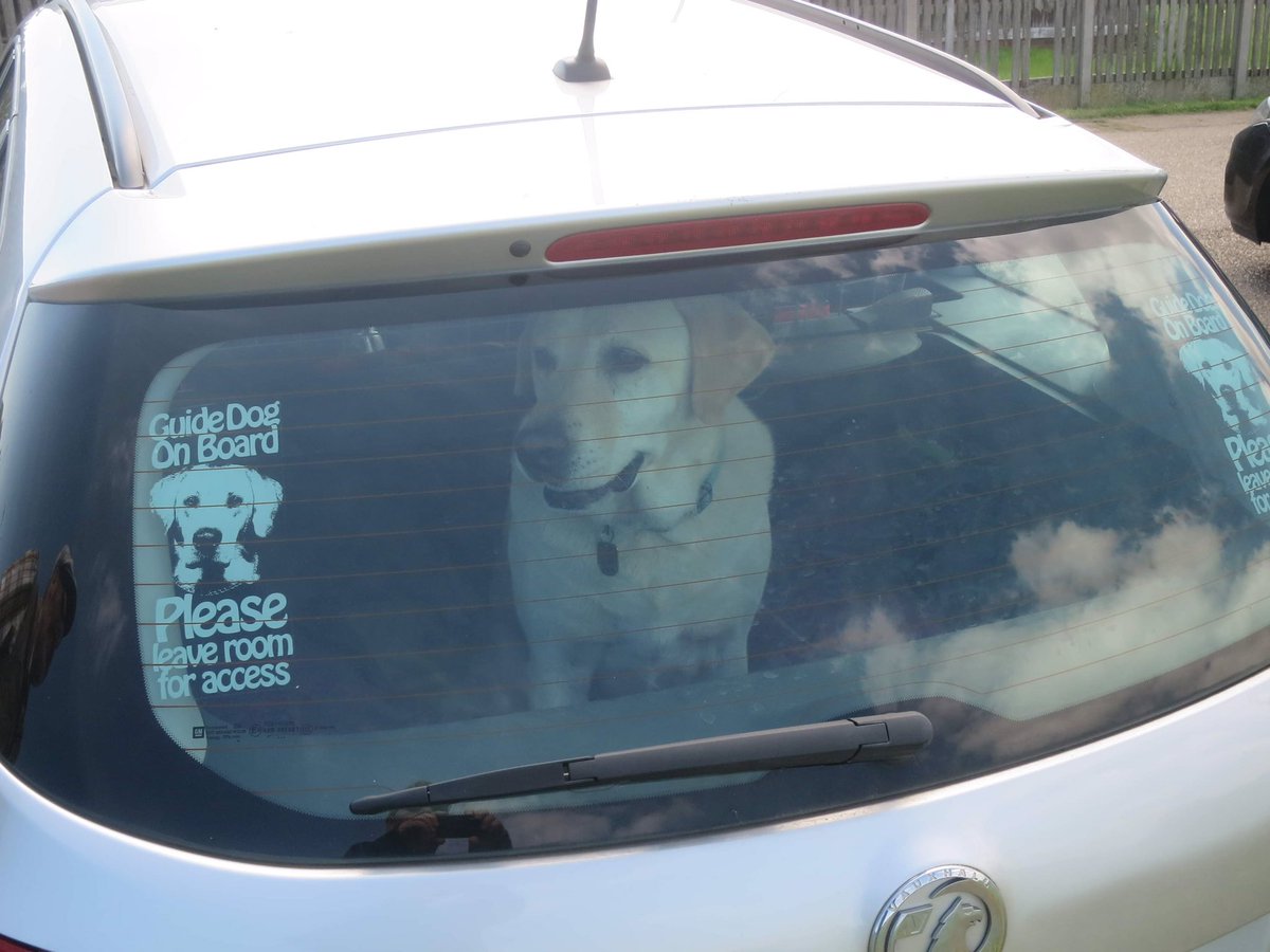 Guide Dog Sergeant & RGD Verity RIP tweet media