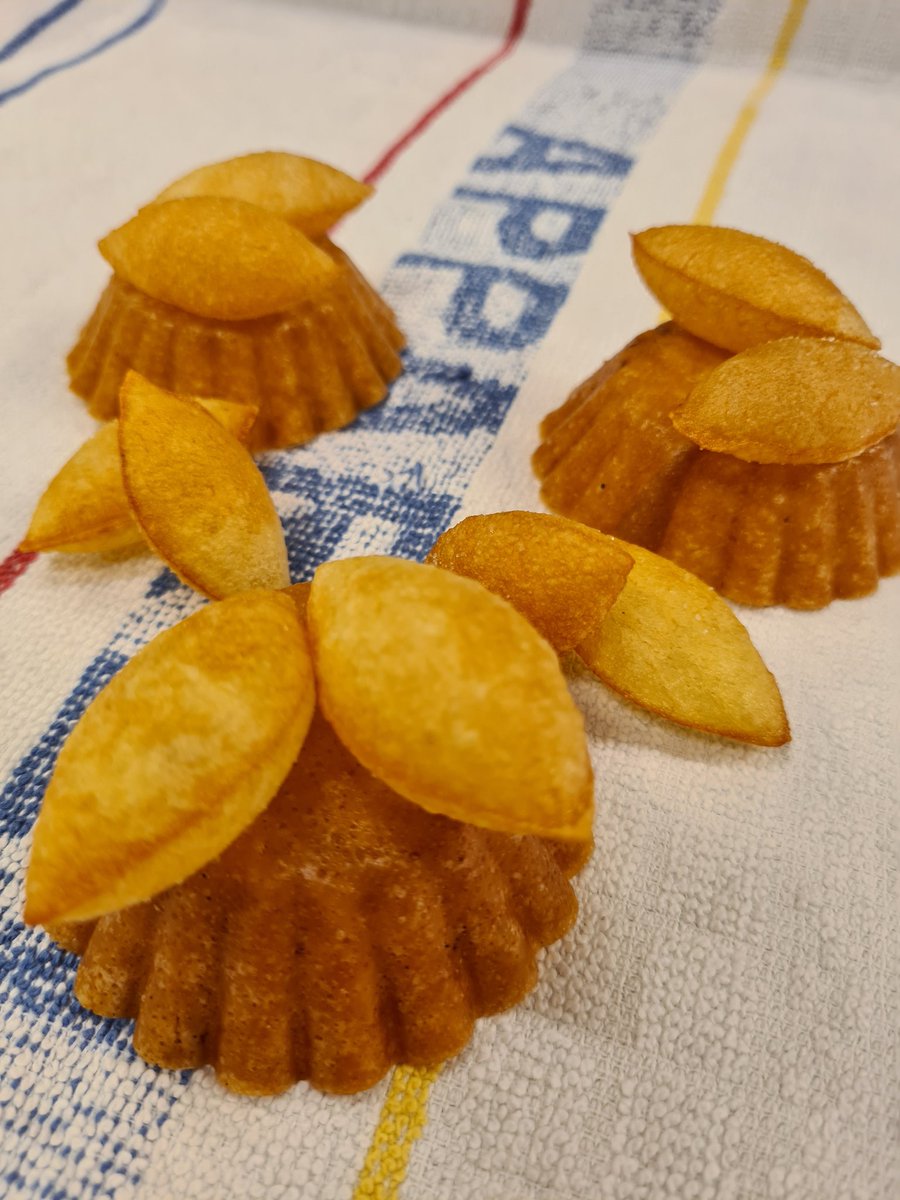 Adam Summers tweet media