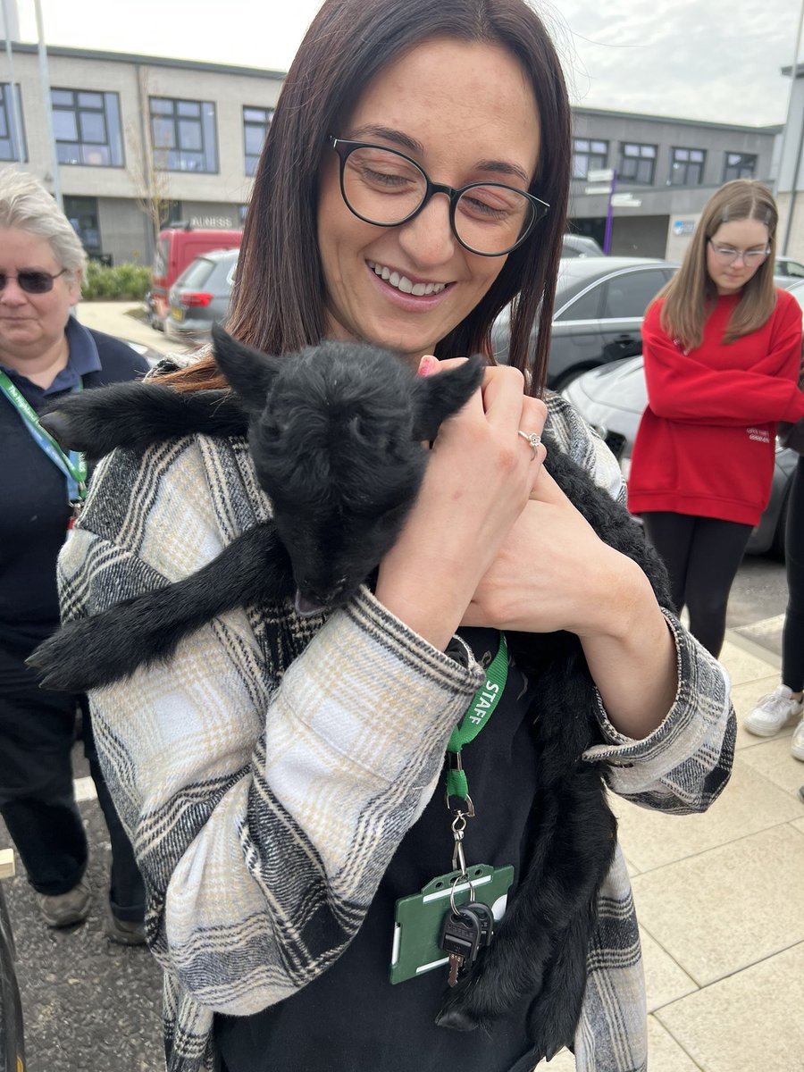 I don’t know who was more excited to meet Cynrick the Welsh lamb - me or the kids! 🤣 🐑 💫 Thank you Ms Macdonald ❤️ <a href="/AlnessSupport/">Alness Academy student support</a> @AlnessAcademyHT <a href="/alnessacad/">Alness Academy</a>