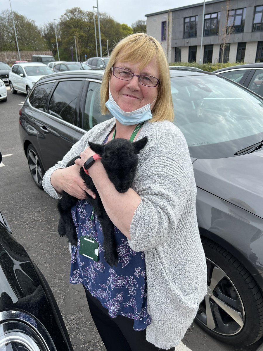 Miss Burnside tweet media