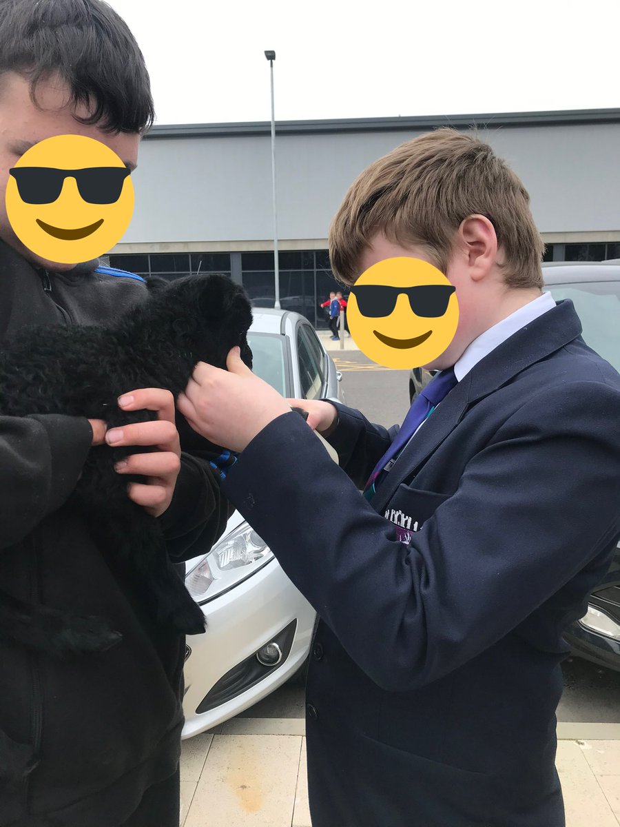 Miss Burnside tweet media