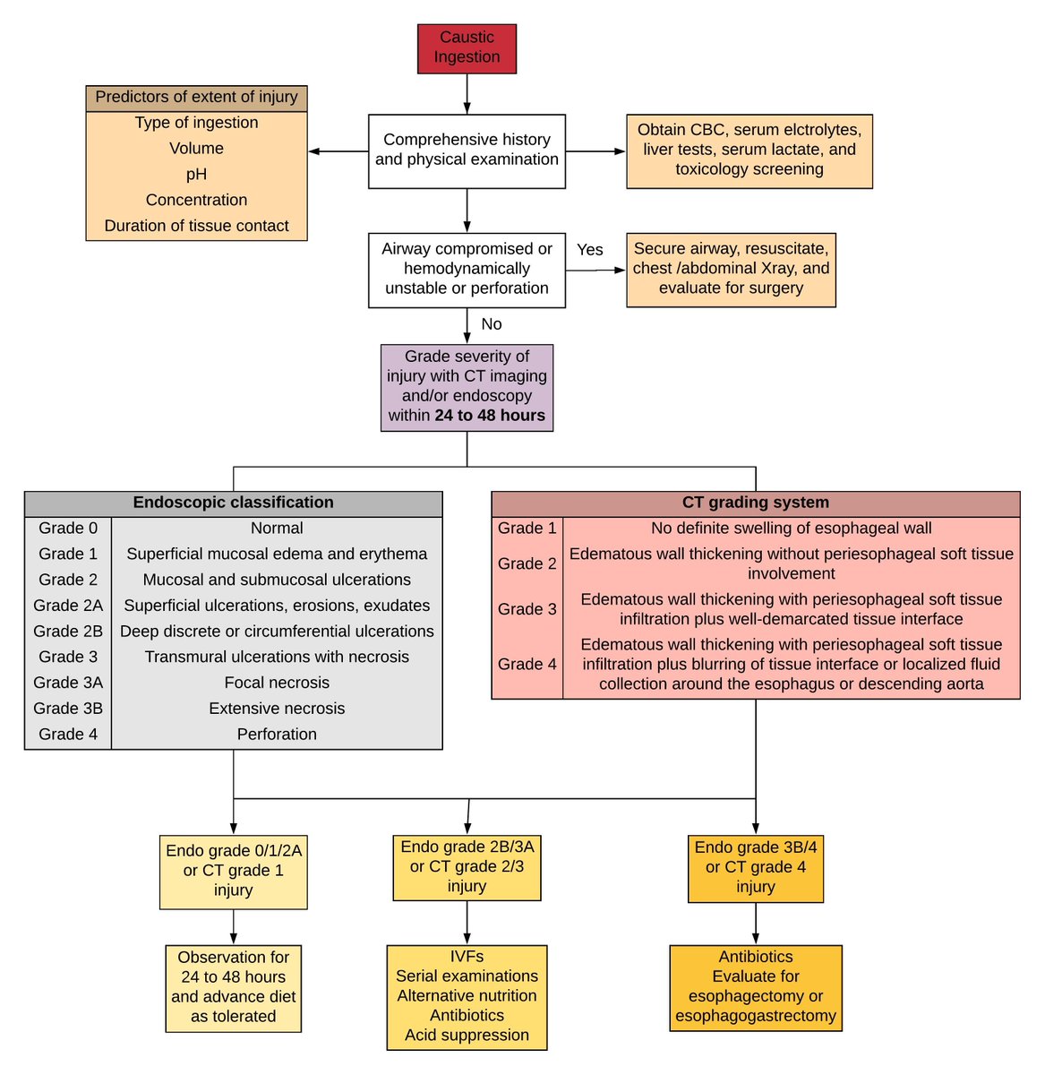 Need to evolve our algorithm for evaluation and management of patients with caustic ingestion!

-CT imaging is superior to endoscopic grading and prevents unnecessary surgeries. 

-We propose below in The Esophagus (Sixth Edition, 2022). <a href="/AmerGastroAssn/">American Gastroenterological Association (AGA)</a> 
 
onlinelibrary.wiley.com/doi/book/10.10…