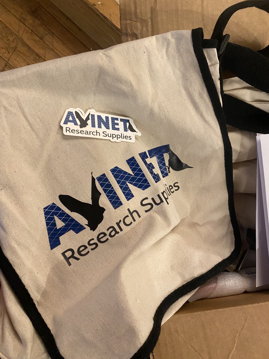 Nicole Lussier tweet media