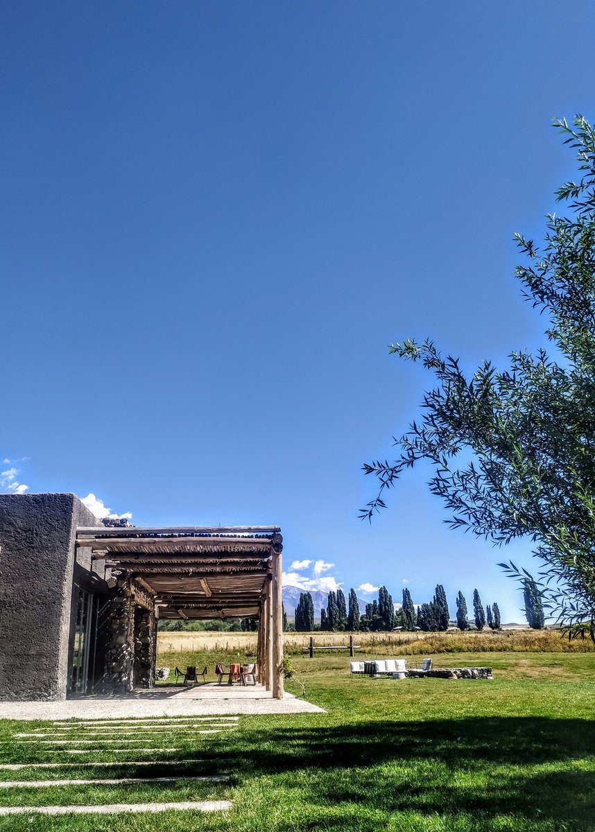 Luis Mantegini🎙️🍷 tweet media