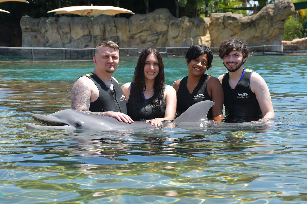 StarMarine614 [Joey] tweet media