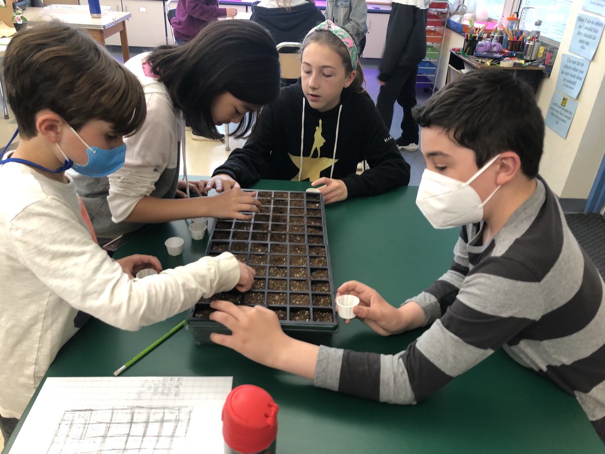 PV5thGrade's tweet photo. Mini-Farms https://t.co/FzxA6xDnBe