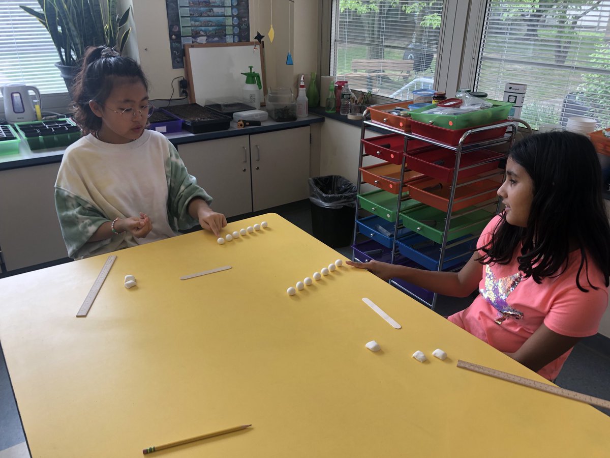 PV5thGrade's tweet photo. Exploring averages https://t.co/pydV0QhwNP