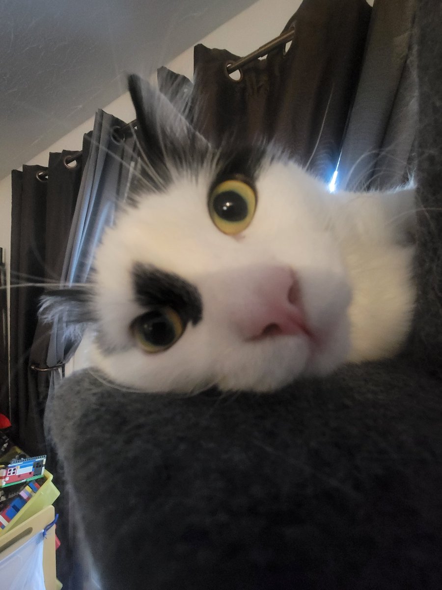 ✨️Zeff111✨️ tweet media