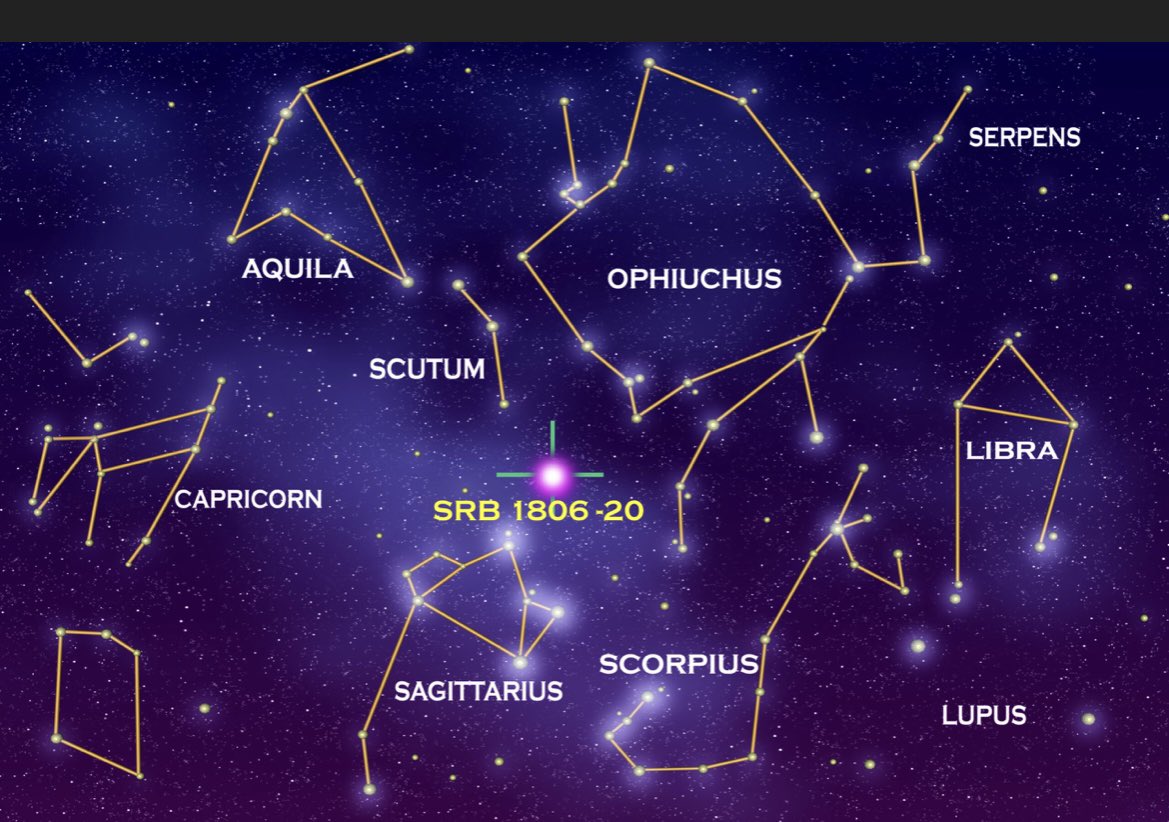 Lisa Wilson tweet media