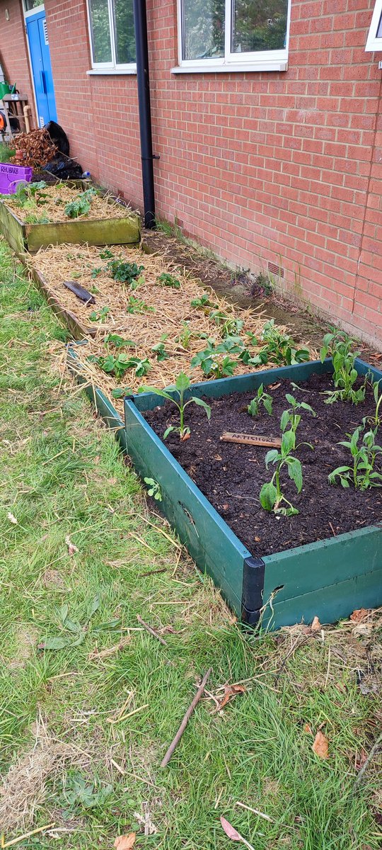 DPickeringAAN's tweet photo. Keep an eye out for the Academy's Allotment.  We have had huge support "rebooting" our allotment from @ThePapillonPro we have some really keen pupils but may need help with resources and additional help.  If you can help in anyway let me know. #Attleborough #AAAlotment https://t.co/ezQrptAR4p