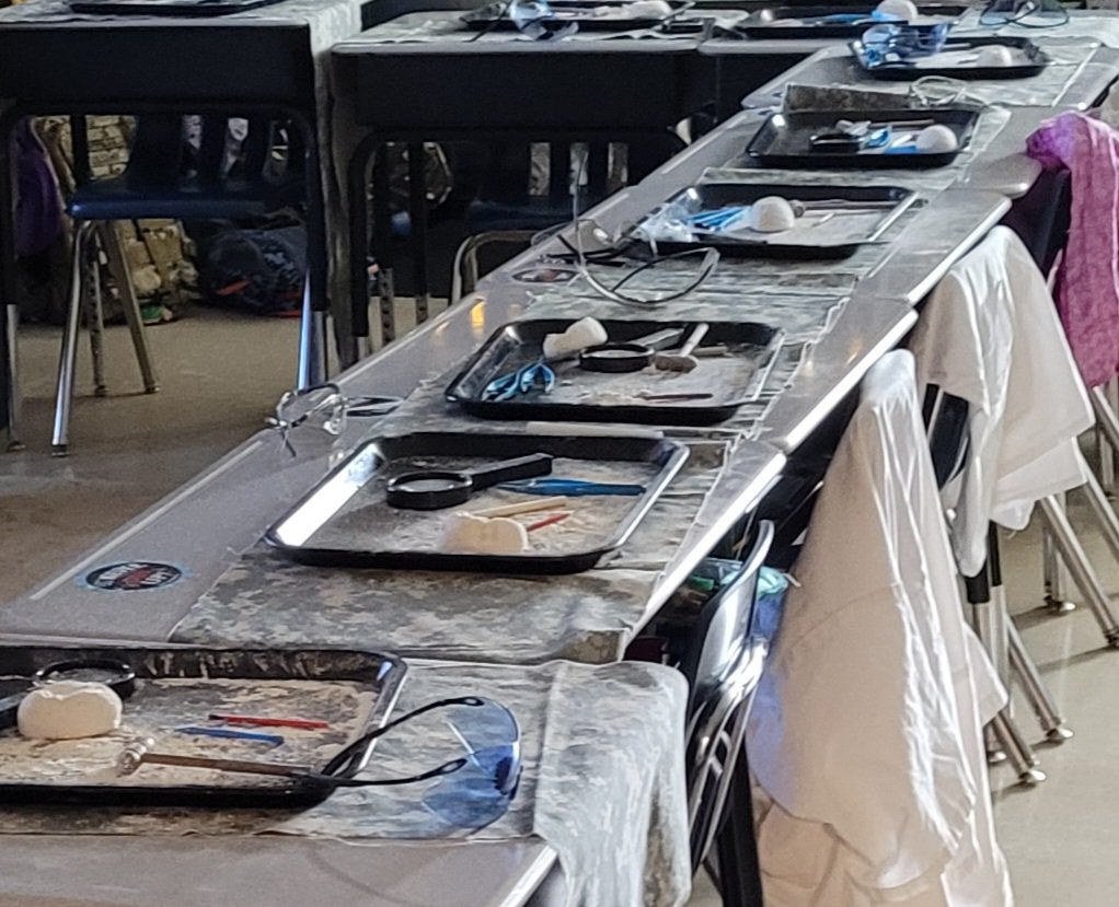 RuthHowell3's tweet image. We went on a dinosaur 🦕 dig today. I have several paleontologists in the making. @SpartanburgD5 @getyourteachon @STEMAZING1 #WeAreD5 #D5difference