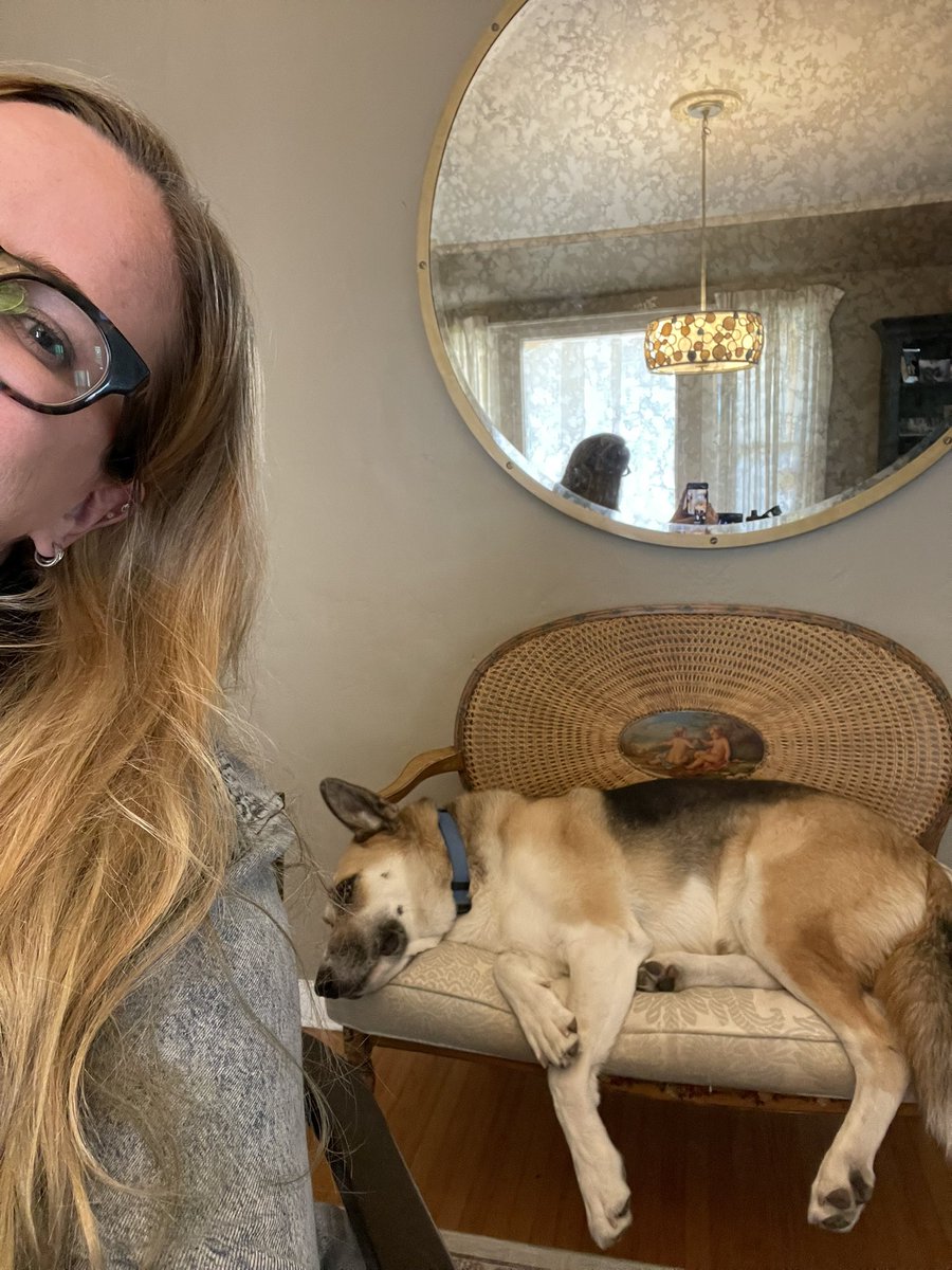 ashcooperkerns's tweet photo. ๐ Leo is over the back to back calls and Spaces.
I think #DogsofWeb3 may be a thing nowโฆ even dogs are feeling the burnout after this week.
Le sigh. https://t.co/rmanub7G3v