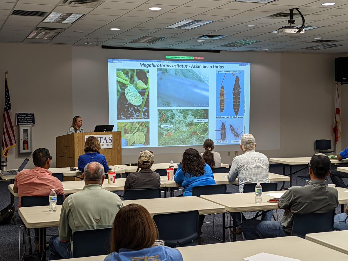 UF_PBC_VegFruit's tweet photo. Speakers from @EvergladesREC @UFTropical @SWFREC presented at the #2022SnapBeanConference today in Belle Glade. The #IPM session included #thrips, #weed, #disease management for #snapbean. @ERECWeedScience @katiavx @UF_PBC_VegFruit Ramdas Kanissery Shiism Zhang Dak Seal @UF_IFAS https://t.co/kq8tpBNOid