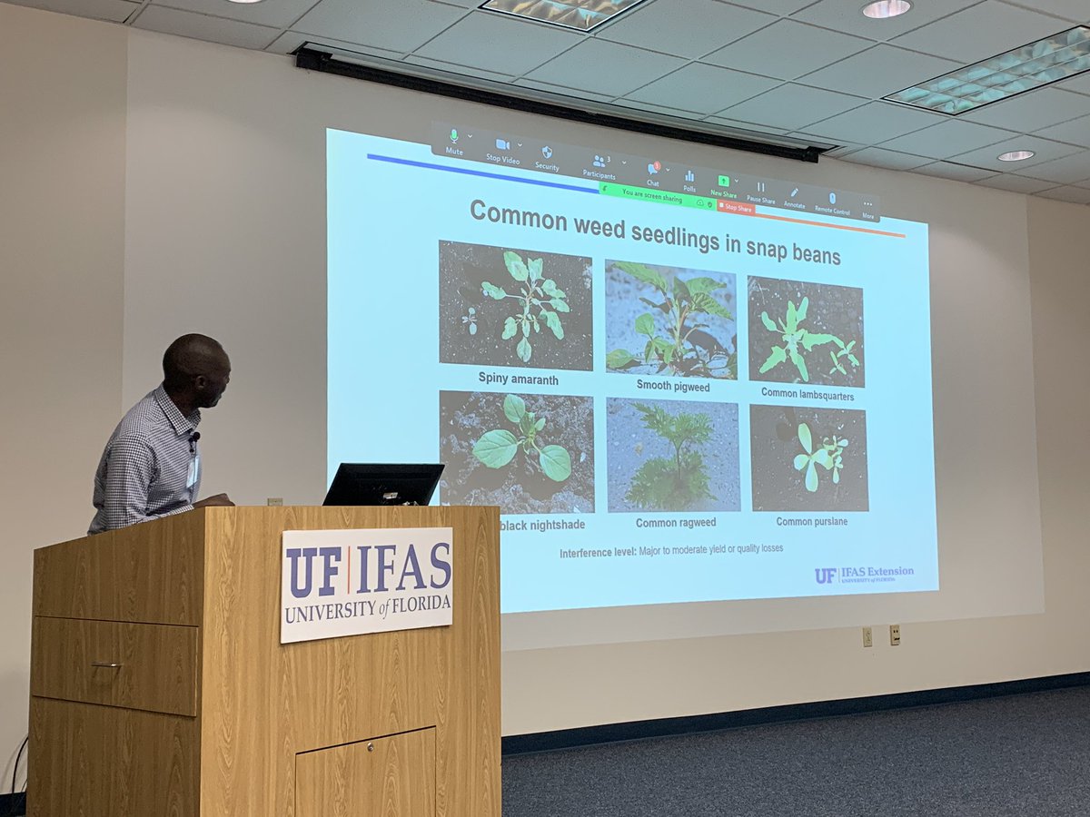 UF_PBC_VegFruit's tweet photo. Speakers from @EvergladesREC @UFTropical @SWFREC presented at the #2022SnapBeanConference today in Belle Glade. The #IPM session included #thrips, #weed, #disease management for #snapbean. @ERECWeedScience @katiavx @UF_PBC_VegFruit Ramdas Kanissery Shiism Zhang Dak Seal @UF_IFAS https://t.co/kq8tpBNOid