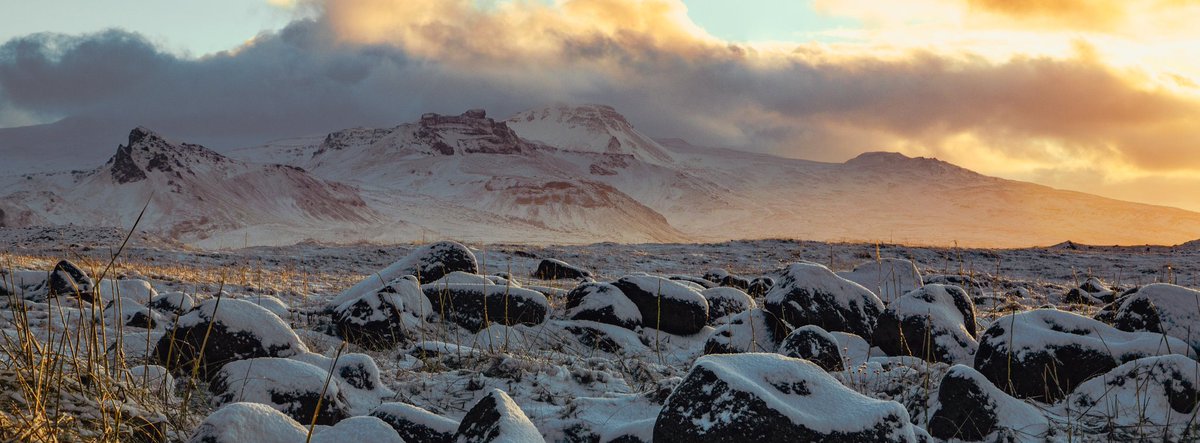 Studio__Lumo's tweet photo. Our new Iceland collection.
4 1/1s that are incredibly special to us. Link in pinned tweet. 
🐴 ✈️ 🏔️ ❄️ https://t.co/Ty7goJzrTh