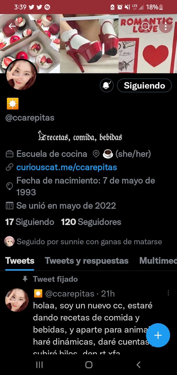 vantemygs's tweet photo. m dan rt porfi solo quiero canva, puedo darles lo demás 😢 https://t.co/BbXRdTbVna