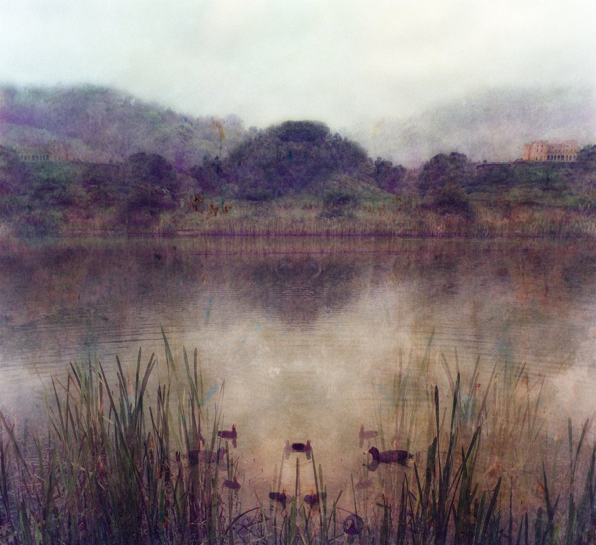 NorthSeaNav's tweet photo. Marsh Hens on Duchess Pond     

https://t.co/odcopS9rHI

#pastoral #rurallandscape #geniusloci #spiritofplace #psychogeography #nature #darknature #darkscape #edgelands #liminal #landscape #sombrescapes #naturephotography #landscapephotography #visualpoetry #art #artwork https://t.co/c9WcUhaB2t