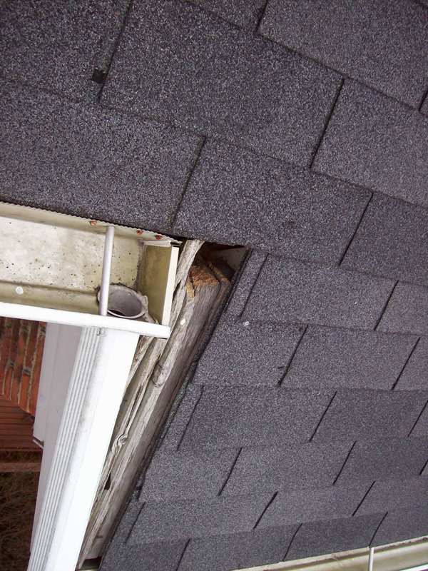aTrapPro1's tweet photo. Along with trapping and exclusion of unwanted wildlife, Trappro offers repairs and renovations for areas damaged during the intrusion. We will also re-insulate any disturbed attic space. Contact us today!
https://t.co/6fy0AGY9F3

#animalremoval #squirrels #repairs https://t.co/fGByDHsAU4