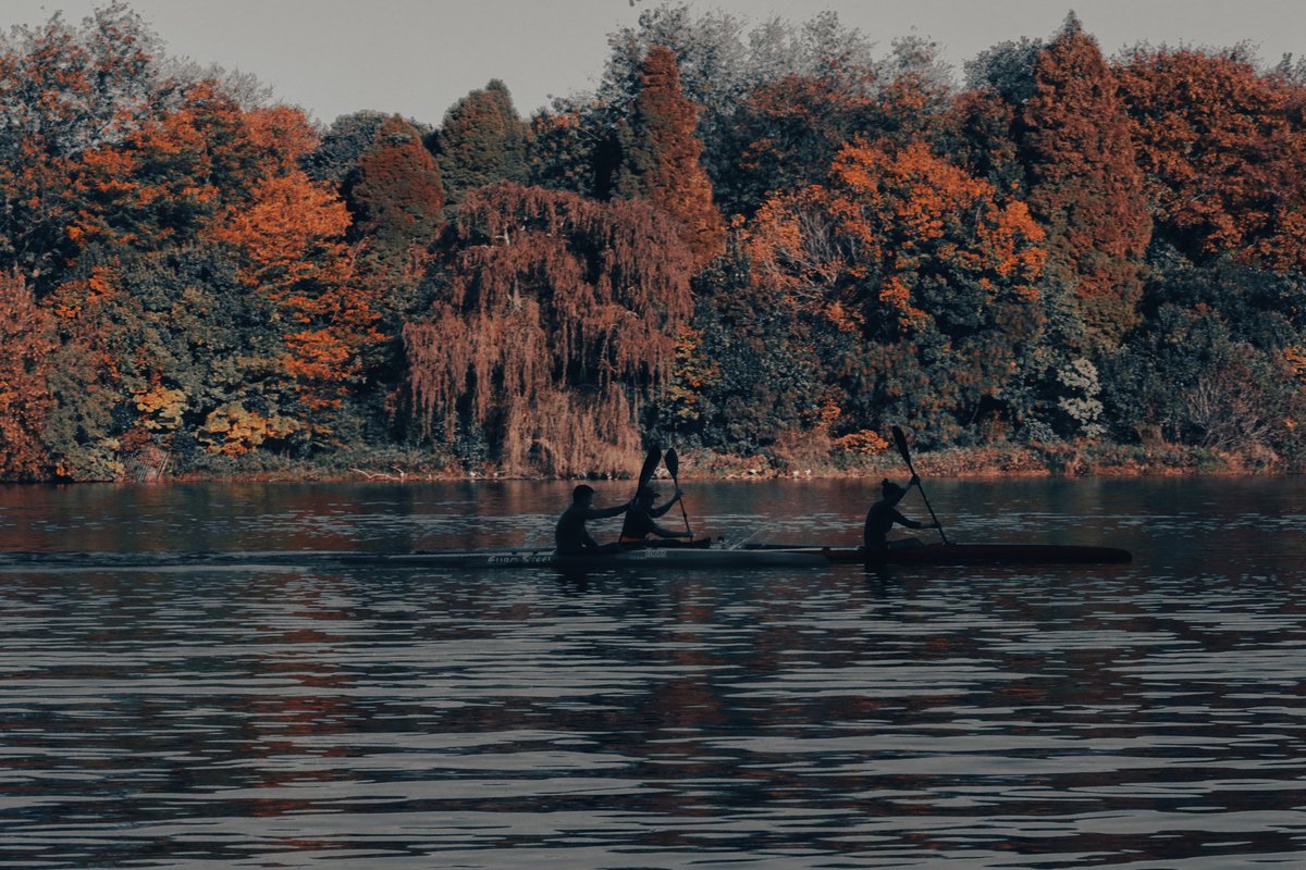 kyledsr's tweet photo. Certainly one of my favourite times of the year. I simply love the tones and soft but striking light ,in the AM !
 🍂🍂🍂
#streetphotography #peopleofsouthafrica #cinematicphotography https://t.co/JFfpZG9SJt