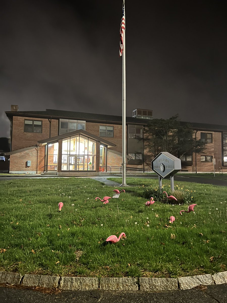 baileyhewson1's tweet photo. Flocked @BarnstablePDMa Great time fundraising for the Mashpee Boosters club! @WCVB @wbz @BarnstableMA https://t.co/rsvZjopZrH