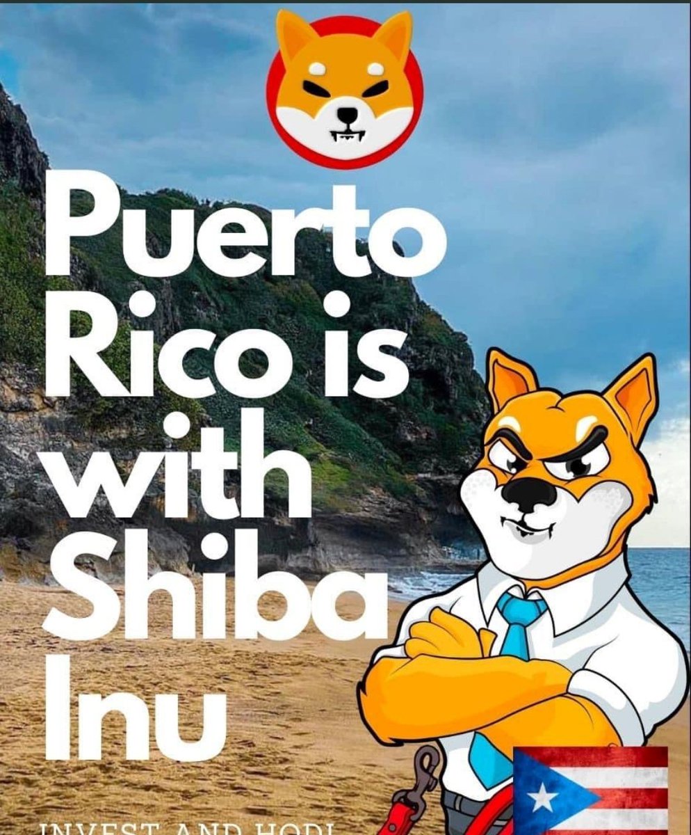 SHIBARMY COMMANDER tweet media