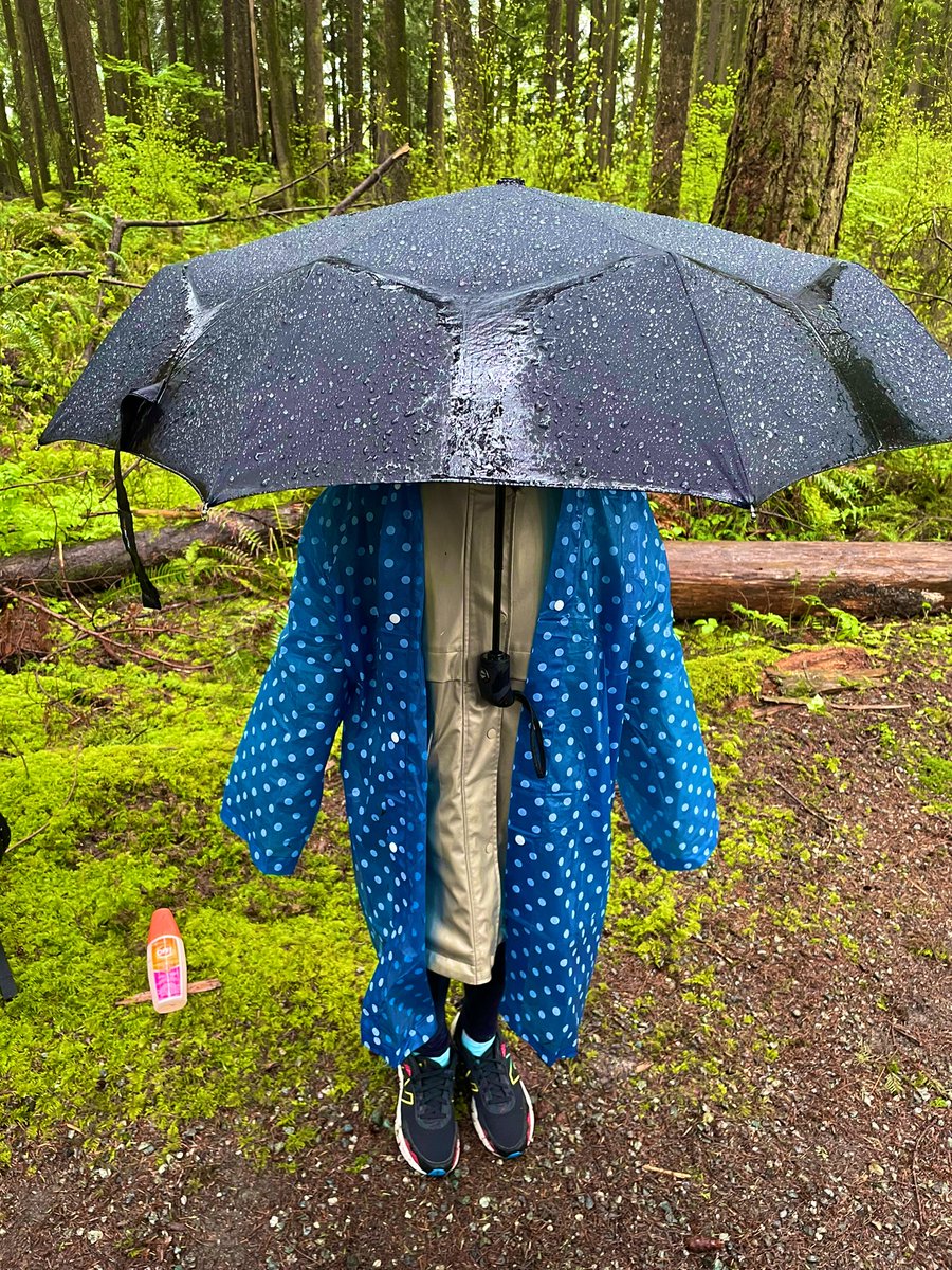 MsAlbertisClass's tweet image. Day 6, 7, 8 #walkingcurriculum challenge: 3 days of outdoor learning at camp with the Grade 6s &amp;amp; 7s!