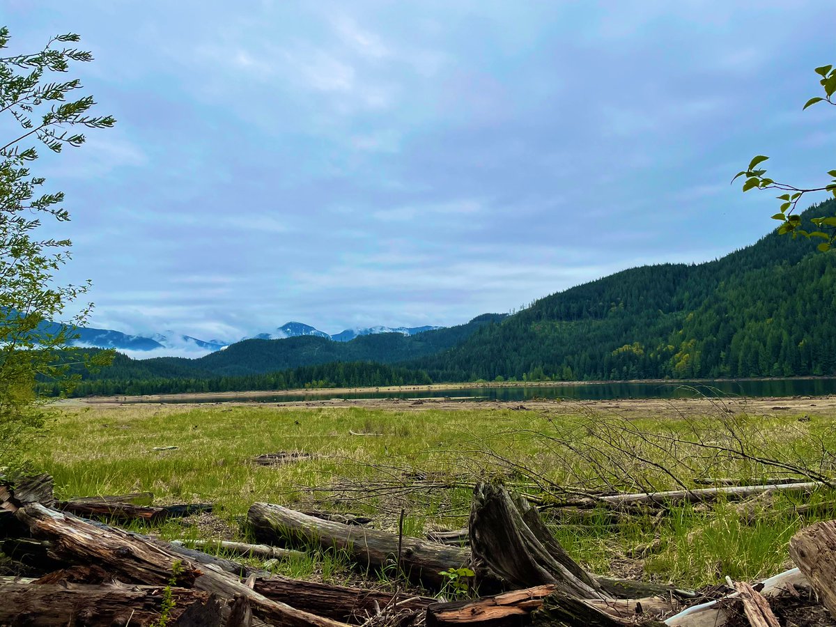 MsAlbertisClass's tweet image. Day 6, 7, 8 #walkingcurriculum challenge: 3 days of outdoor learning at camp with the Grade 6s &amp;amp; 7s!