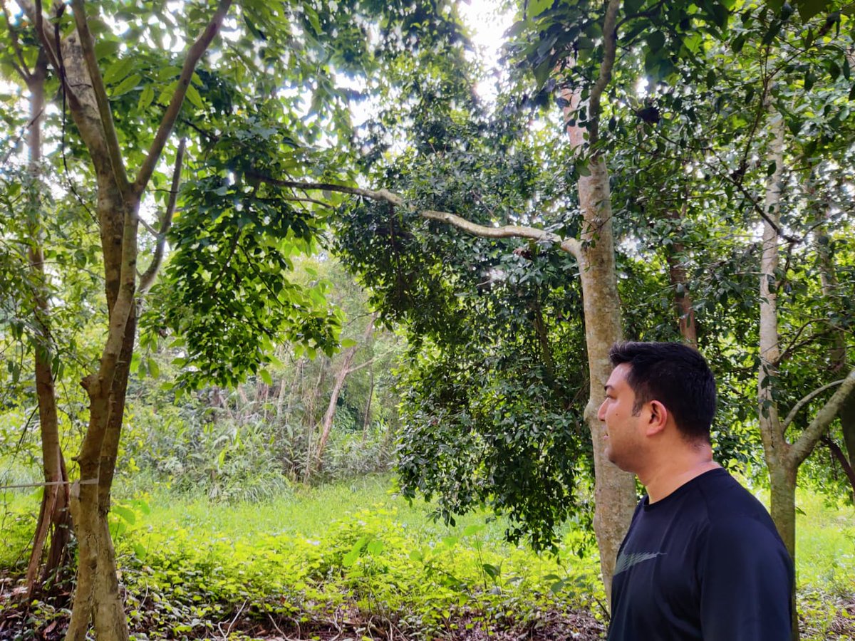 sunilreports's tweet photo. Greeny...fresh air...
A beautiful morning with @Mrinal_MLA da at #Borgos #Kaziranga https://t.co/zrq7QTDQJH