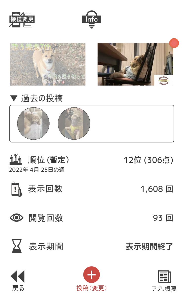 waonstagram's tweet photo. 今週のCycleyで歌う柴犬動画が6位まで上がりました👍
嬉しいです!
次の動画は⬇️
【ASMR】 もぐもぐポンズ🍎りんご食べる🍏【Eating Sound】【咀嚼音】
https://t.co/p6zPvS5Due
Spray bottle dog🚿霧吹きでぺろんぺろんする柴犬
https://t.co/AWZeUJfLBx
#Cycley
#拡散希望
#桃ponchannel https://t.co/WGUcroIsGk
