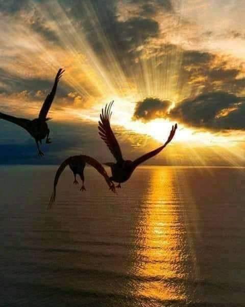 obaid69q8's tweet photo. لليل في دمعي سنا نجمتيني
و للصبح في جفني شفق هم وسهاد
.
.
كن السهر دربٍ عليه بتجيني ..!
و لا ودي أقطع درب لاماك برقاد .؛ https://t.co/BUKLd4VZLr