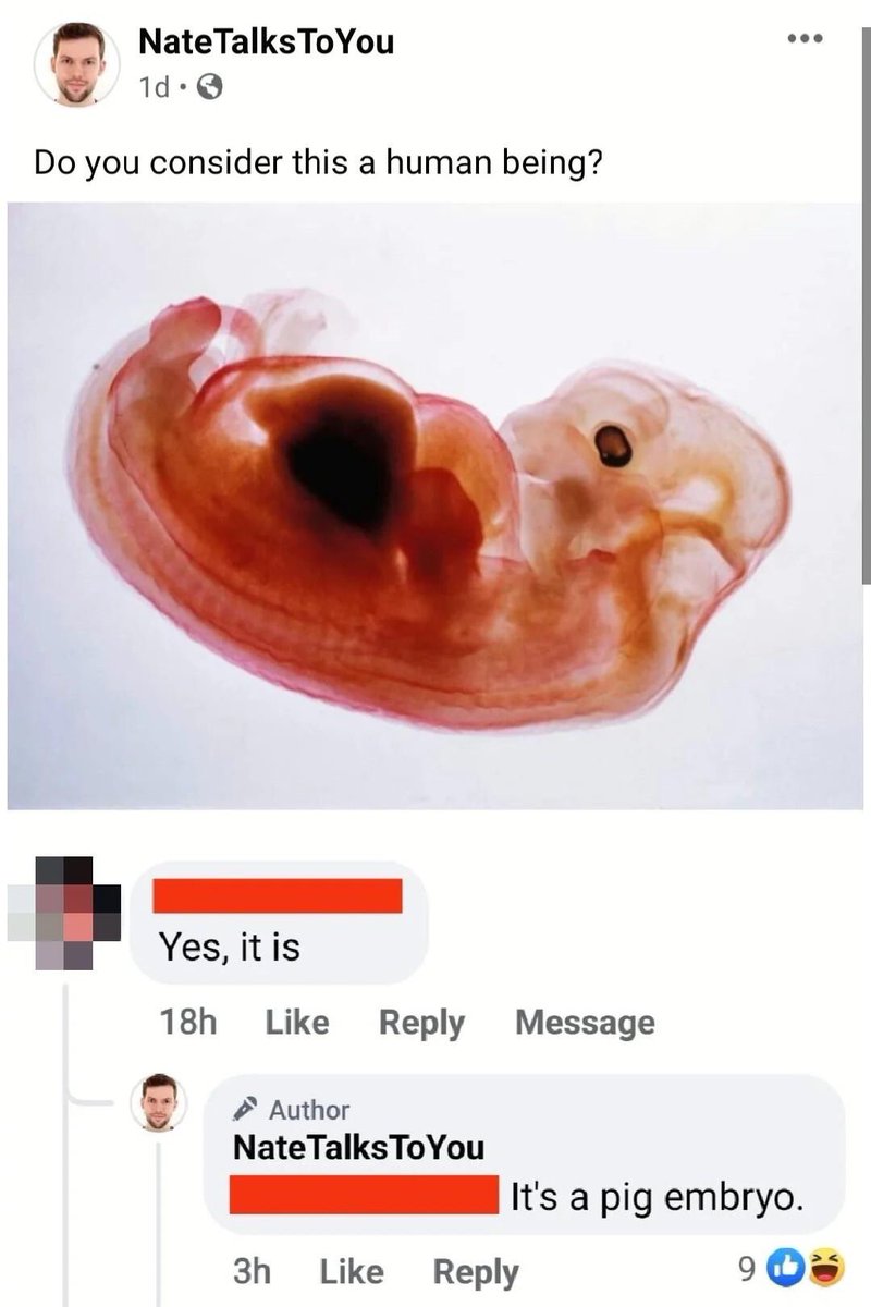 ConSelfOwns's tweet image. 