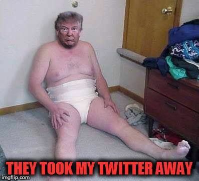 petty_gw's tweet photo. https://t.co/NDaPZj1Cmg