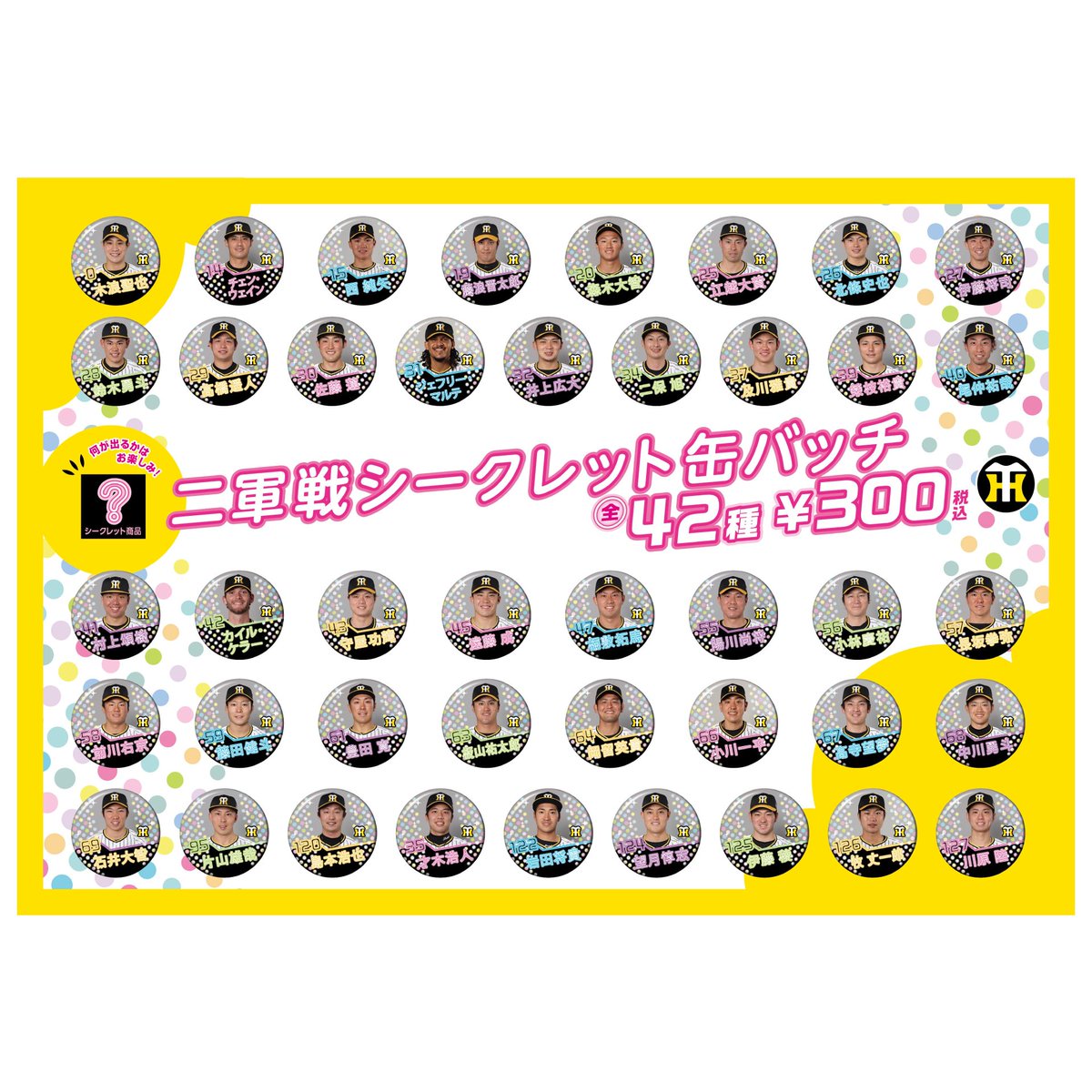 🌞#ウエスタンリーグ 公式戦🌞 今年もあります！ 『二軍戦シークレット
