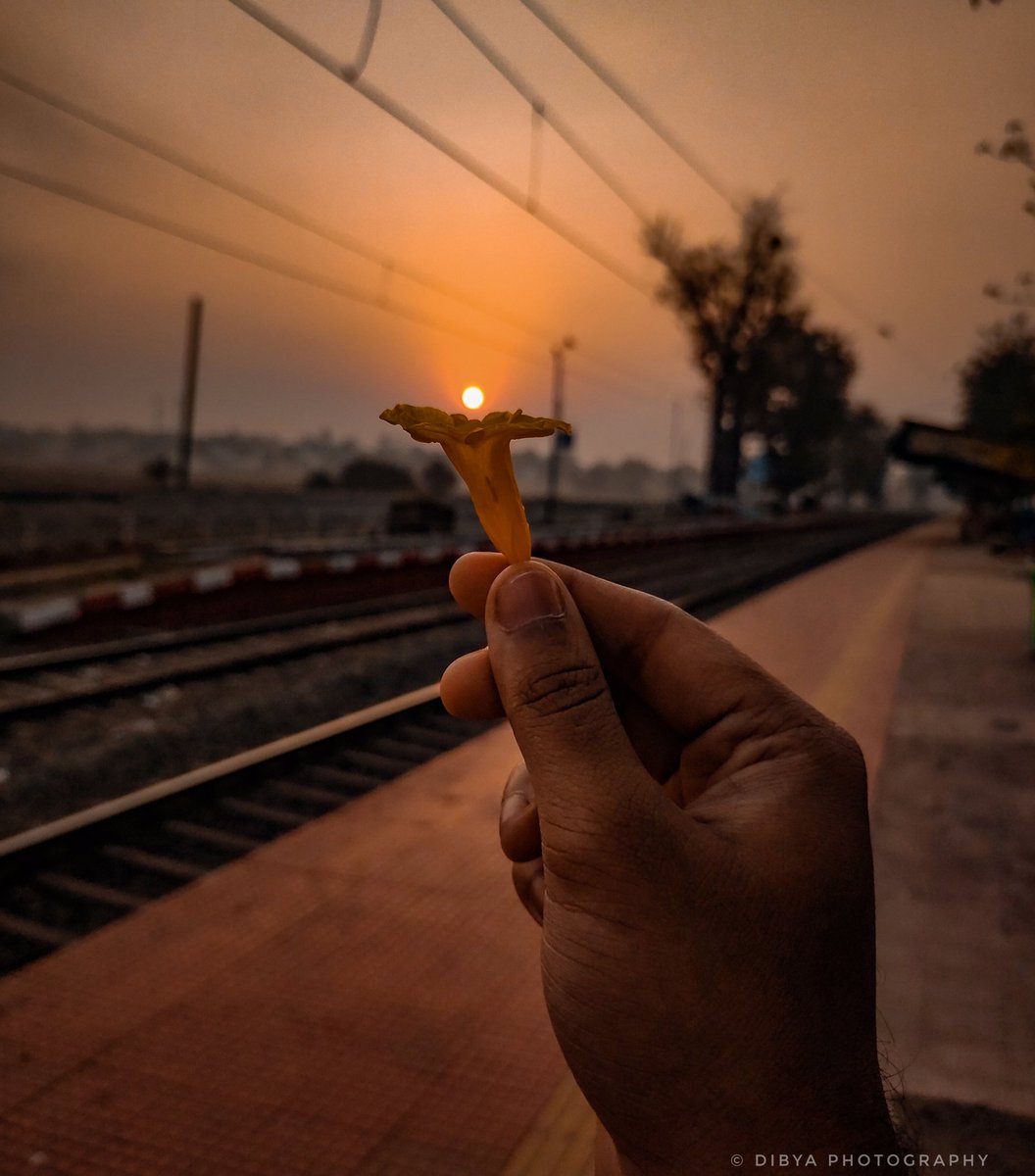 A Very Good Morning 🌄

Shot on - Redmi Note 7 Pro
<a href="/Xiaomi/">Xiaomi</a> <a href="/RedmiIndia/">Redmi India</a> <a href="/XiaomiIndia/">Xiaomi India</a> 
.
pindle.io/web/share?sid=…
.
<a href="/Pindle_India/">PINDLE INDIA 🇮🇳</a> @TwitterIndia <a href="/GoogleIndia/">Google India</a> <a href="/googlemaps/">Google Maps</a> <a href="/MiIndiaSupport/">Xiaomi India Support</a> <a href="/instagram/">Instagram</a> 
#pindle_india #goodmorning #Good #morningvibes #goodnight #railways #station #travel