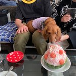 天ちゃんのツイート画像