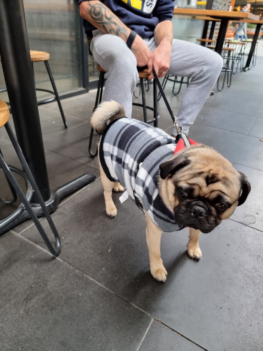 boohoo1972's tweet photo. #chilly day in melbourne #coffee #moonee ponds #puckle street .!! https://t.co/4L0YcOE2lh