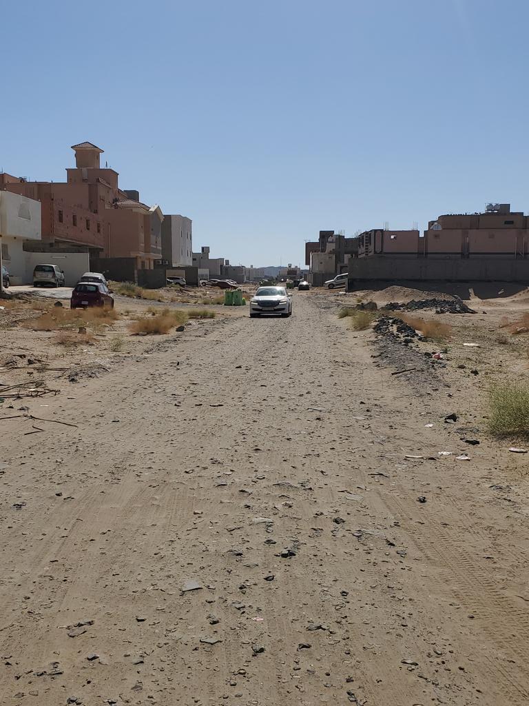 وطن المجد tweet media